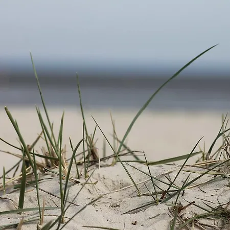 Schwarzer Adler 3* Jever