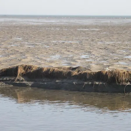 Schwarzer Adler Hotel 3*