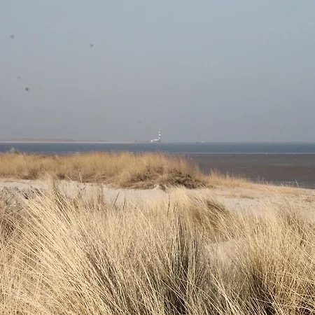 Schwarzer Adler Hotel