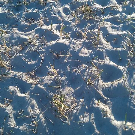 Szálloda Schwarzer Adler