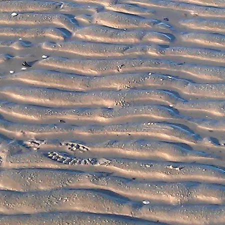 Schwarzer Adler 3* Jever