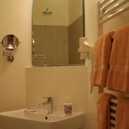 Hotel Schwarzer Adler 3*