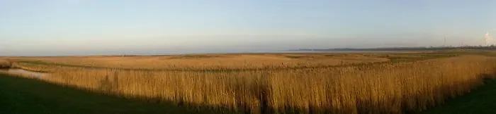 Hotel Schwarzer Adler Jever