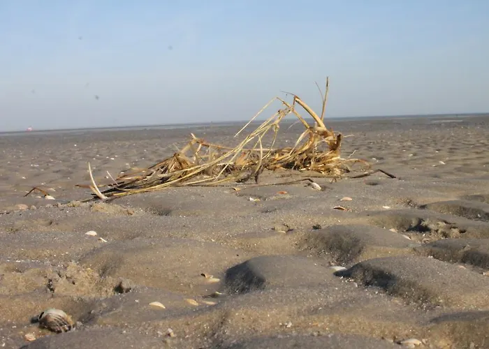 Hotel Schwarzer Adler Jever