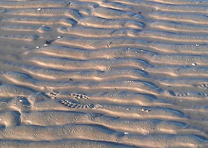 Schwarzer Adler 3* Jever