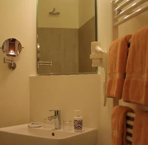 Hotel Schwarzer Adler 3*